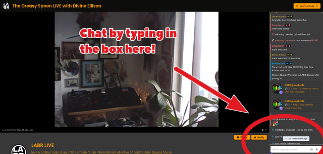 Screenshot of a livestream on OwnCast, there's a DJ's equipment in the main video window and off to the right side is a chat window with messages from people and a chat box at the bottom where people can type. There's an arrow pointing at the chat box and the caption "Chat by typing in the box here!"