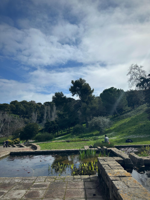 Vy över en park i olika nivåer med blänkande dammar, grönt blommande gräs och höga träd. Himlen är blå med ett spräckligt lager tunna vita moln.