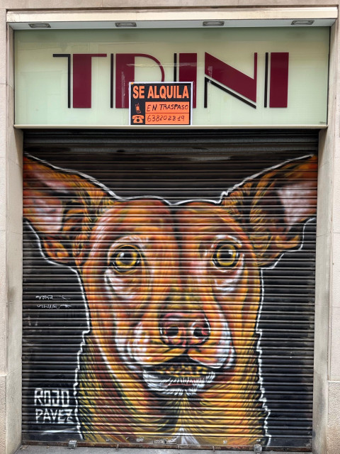 Jalusi framför en affär med ett hundansikte