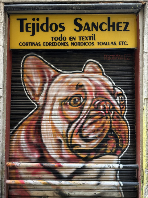 Jalusi framför en affär med ett hundansikte av typen bulldog 