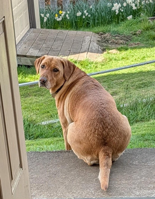 Summer is looking back to keep track of me too. 