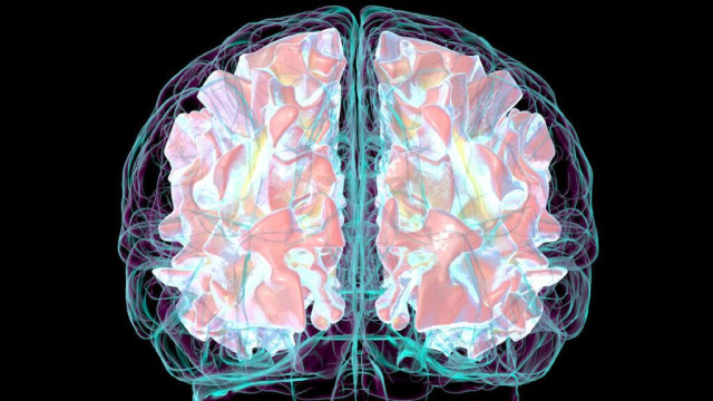 Demenz: Bis zu 25 Prozent weniger Alzheimer – warum Schnelligkeit im Kopf schützt