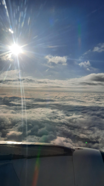 一大早的平流層