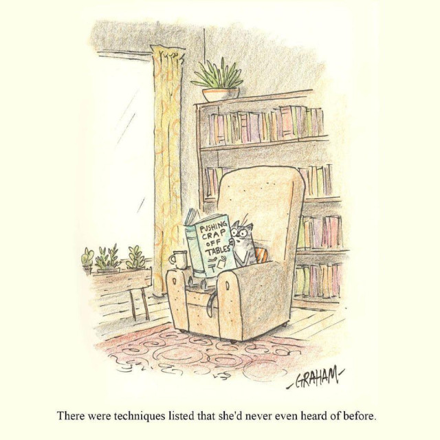 A cartoon illustration of a stunned cat sitting in a chair reading a book titled "Pushing Crap off Tables." Caption reads "There were techniques listed that she'd never even heard of before."