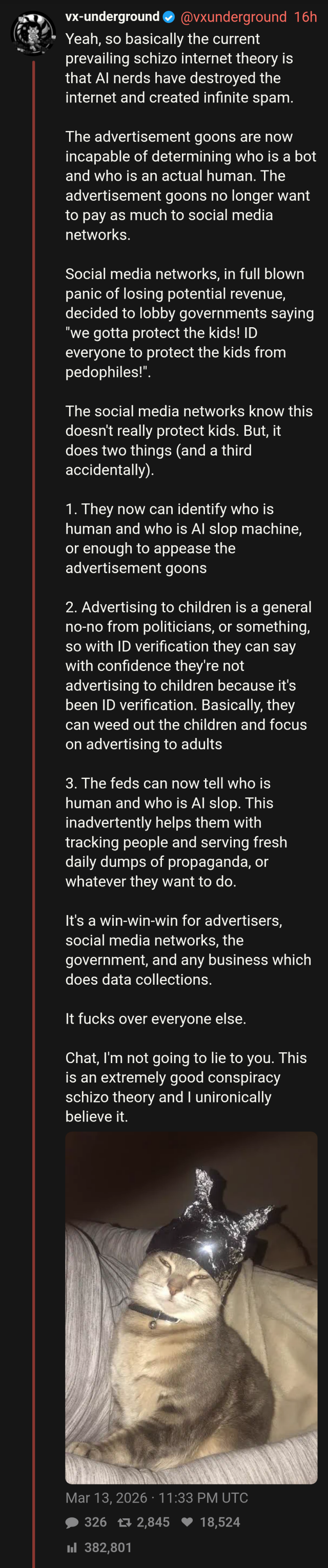 Cat on a tinfoil hat in a Tweet