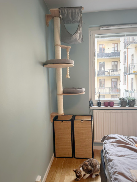 Ett väggmonterat katträd med fyra hyllor och klätterrep i ett sovrum.