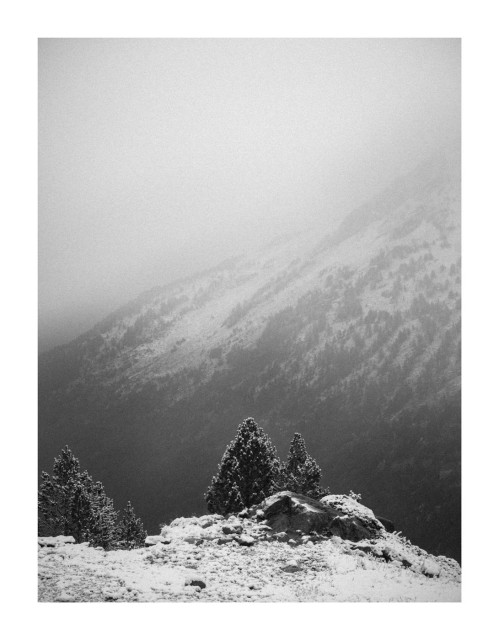 Black and white photo of a mountain landscape. In the foreground a small patch of land and rocks covered in thin snow with a few small conifer trees behind. In the background, veiled by thin fog, the steep side of a mountain covered in snow with dark patches of forest below.