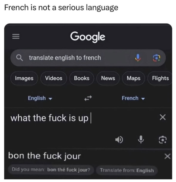 A meme with the header "French is not a serious language." It displays a Google Translate interface where the English phrase "what the fuck is up" is translated into a nonsensical French result: "bon the fuck jour." Below the translation, a "Did you mean" suggestion reads: "bon thé fuck jour?"