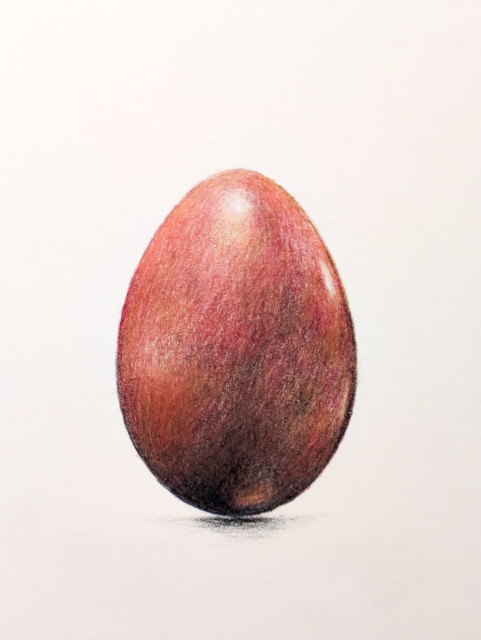 coloured pencil drawing of an egg of a Yellow-bellied Prinia