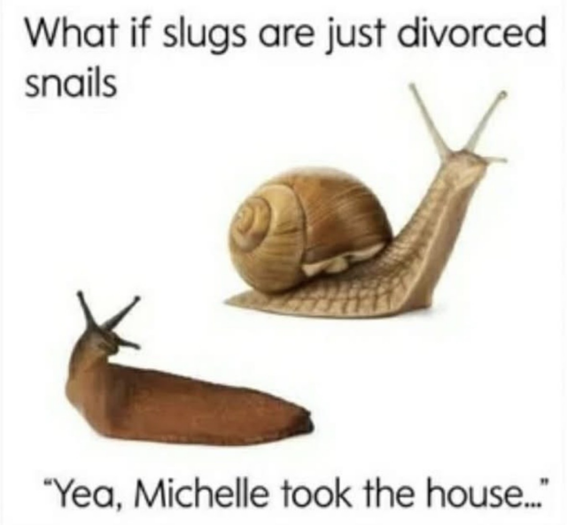 A meme featuring a side-by-side comparison of a snail with a shell and a slug without one. The top text asks, "What if slugs are just divorced snails," while the bottom text reads, "Yea, Michelle took the house..."
