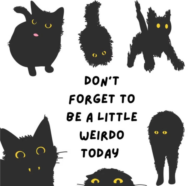 Black cats with yellow eyes in various poses on a white background. In the centre, black text reads "Don't forget to be a little weirdo today."