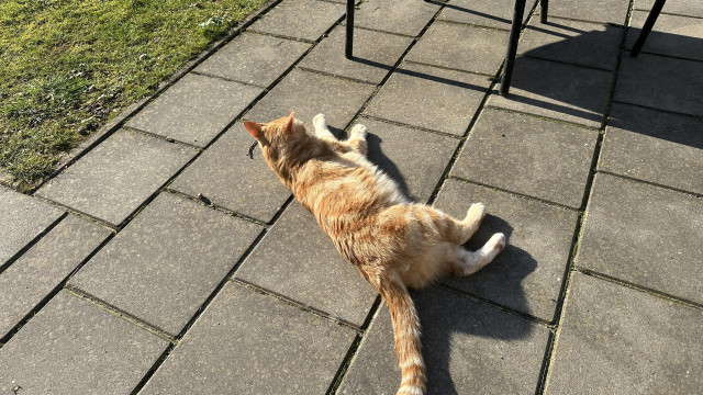 Washy rolling outside