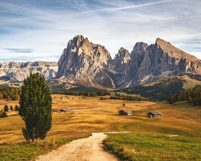 A wide-angle landscape photograph taken from a low perspective. A light-colored dirt path curves from the bottom center into a vast, rolling meadow covered in golden-brown autumn grass. To the left, a single, tall, dark green evergreen tree stands prominently. Scattered across the hills are a few small, rustic wooden huts. In the background, the massive, grey limestone peaks of the Sassolungo mountain group rise sharply against a pale blue sky with wispy white clouds.