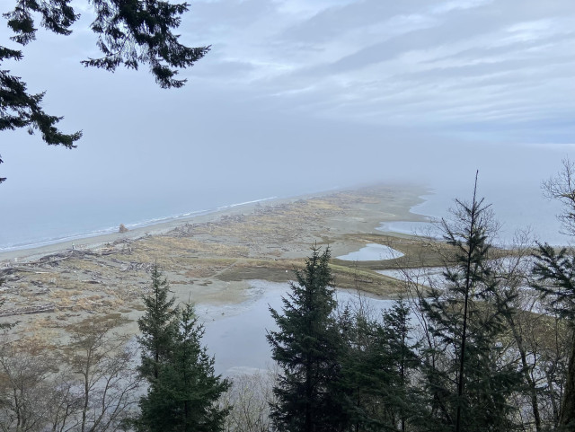 The Dungeness Spit, a natural formation, a kilometers-long thin stretch of sand in the Salish Sea, seen from above on a foggy day. The spit goes much further than what we can see, but it's hidden by the fog today. 