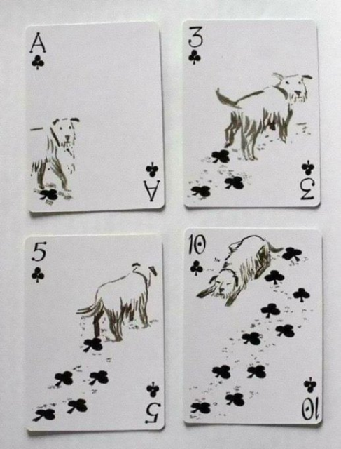 A set of four playing cards—the Ace, 3, 5, and 10 of Clubs—arranged in a square. A hand-drawn illustration of a terrier walks across the cards, leaving black club symbols as paw prints in its wake.