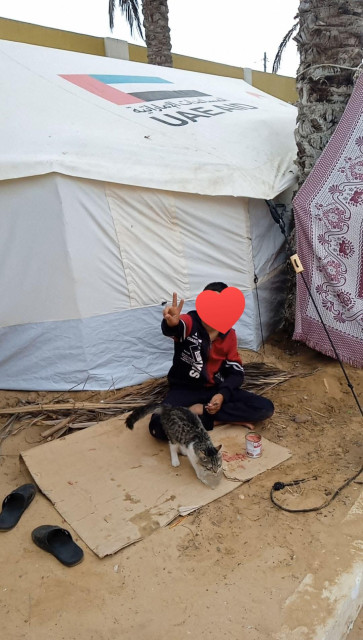 طفل في خيمه نزوح بغزه