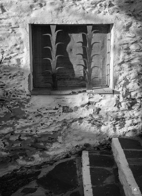 Black and white photo of a window with organic-looking, spiky iron guards in front of it, set in a white-washed stone wall. 