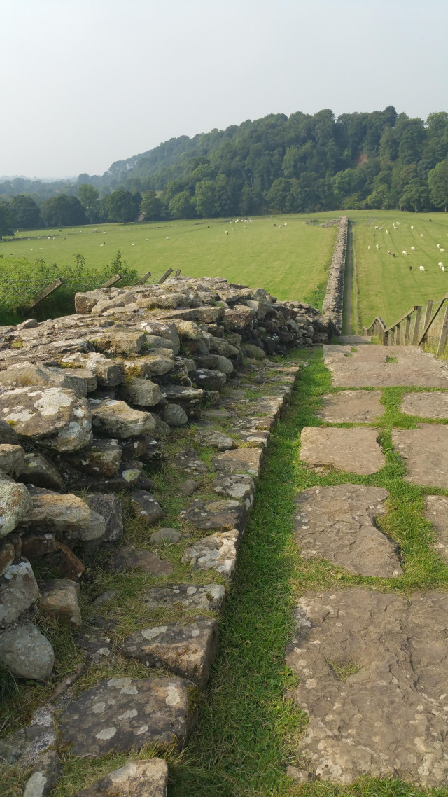 From 2016 and my Hadrian's Wall trek.  I'd crossed the border into Cumbria at this point (less buses I remember) and this is a section near the river crossing where a Roman bridge stood, a mile or so from the river which had changed course significantly since the Roman Empire was in Britain. 