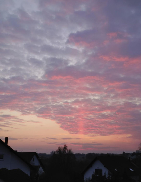 Bright pink reflecting clouds with a pronounced pink pillar pointing towards the horizon.