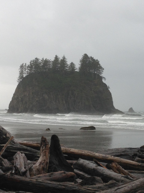 Looking over a driftwood-covered beach after a storm out to a small island just offshore crowned by spruces overhanging sheer cliffs; the incoming breaking waves leave a watery mirror on the shore. 