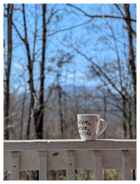 a white mug with the words “live, love, meow” sits on a white wooden porch railing. bare trees with thin branches and a blue sky are in the background, with distant mountains faintly visible through the trees.