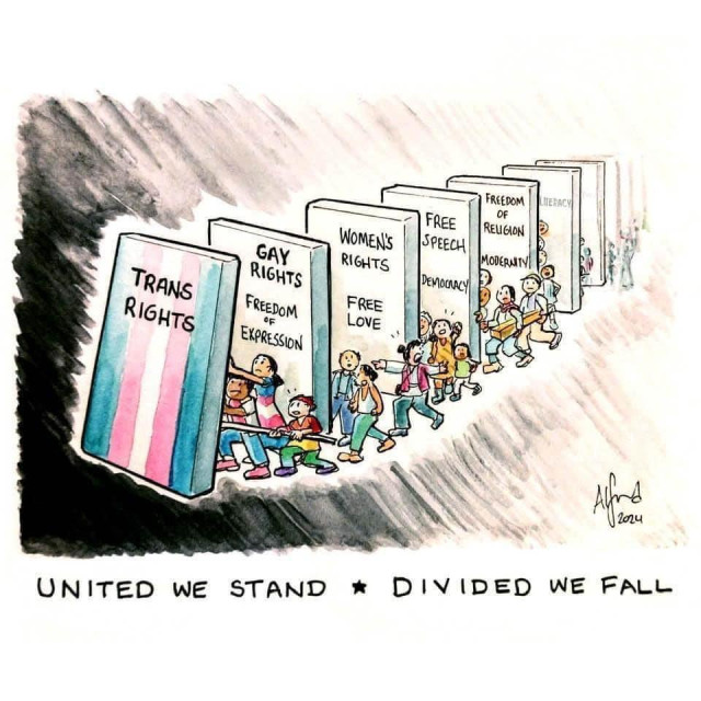 artistic depiction of various human rights as slabs people are keeping from falling over, toppling the others behind it. The first slab says trans rights and has the colors of the trans flag followed by gay rights then women's rights, free speech, freedom of religion and a few more slabs with no readable text.

The caption reads united we stand divided we fall