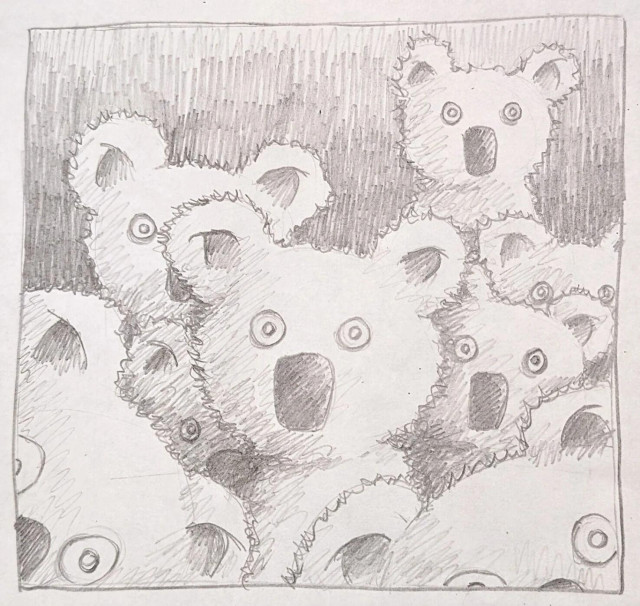 Pencil sketch on square paper of a group of cartoon-like koalas staring out at the viewer.