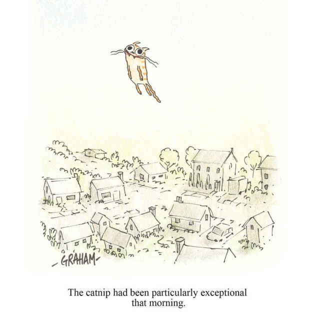 A cartoon illustration of a happy and dazed cat floating high up in the sky above a neighborhood. Caption reads "The catnip had been particularly exceptional that morning."