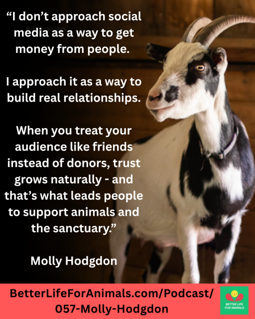 Photo of a beautiful black and white goat with text on the left side that says "I don't approach social media as a way to get money from people. I approach it as a way to build real relationships. When you treat your audience like friends instead of donors, trust grows naturally - and that's what leads people to support animals and the sanctuary. Molly Hodgdon." A banner at the bottom has the web address of the podcast episode which is in the post.