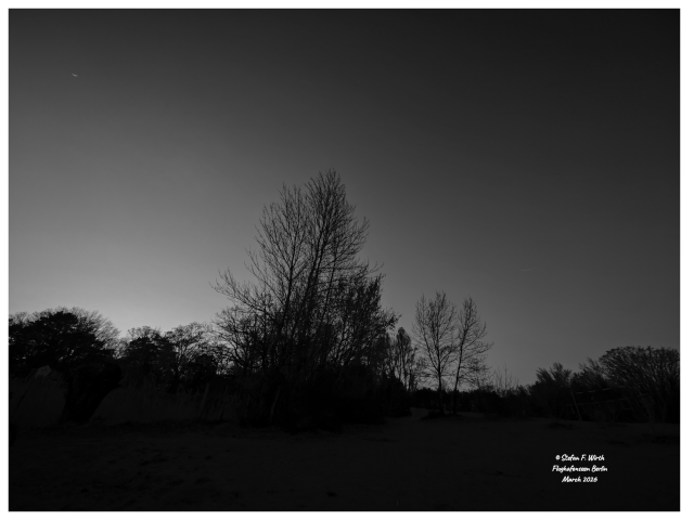 Artistic photography of the forest vegetation adjacent to lake Flughafenseen in Berlin, 22 March 2026, © Stefan F. Wirth

Freshwater lakes interact with global warming in a complex and sometimes contradictory way, binding CO2 in their sediments but also releasing CO2 and methane through decomposition processes. They also warm up faster than their surroundings. On the other hand, the ecological conditions of the surrounding area are important for how "climate-friendly" a lake is. Berlin's Flughafensee (Airport Lake) lies in the middle of a forest (Jungfernheide Forest) and is partially protected by fences as a bird sanctuary. Therefore, an almost untouched shoreline vegetation thrives there, including marshy areas and reedbeds.