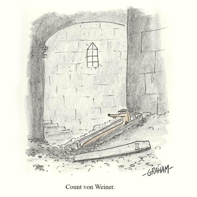 A cartoon illustration of a dashund with fangs peeking out of a coffin. Caption reads "Count von Weiner."