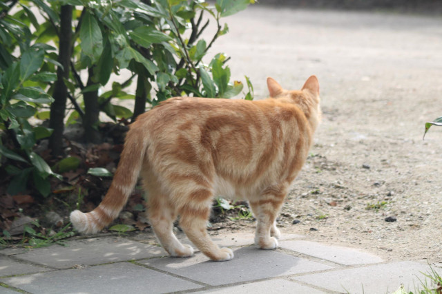 Washy outside in the garden