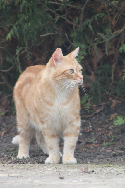 Washy on the other side of the ‘road’