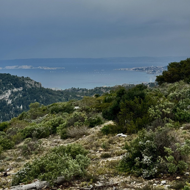 View on the City of Marseille from the Calanques