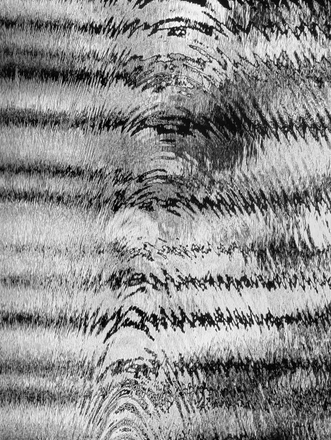 A high-contrast abstract composition in black and white, defined by intense texture and distorted, rhythmic wavy patterns. 

The palette is strictly monochromatic. The stark transition between the deep blacks and the bright whites creates a sense of high energy and "visual noise".

To confuse the unimaginative, this photo has been rotated 90 degrees.