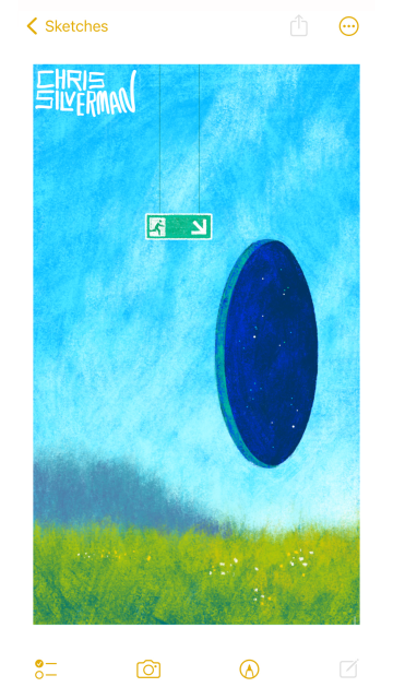 A wide green meadow under a blue sky. The meadow is dotted with small white and yellow flowers. There's a blurry gray treeline in the distance. In the foreground, hovering in the air, is a very precise hole in the sky, or maybe in existence itself: a portal that reveals a starry night sky beyond. Hanging down from the sky, attached to something unseen, is a small green exit sign: the green European kind, with a small running figure, and an arrow pointing to the hole. The painting is signed "Chris Silverman".