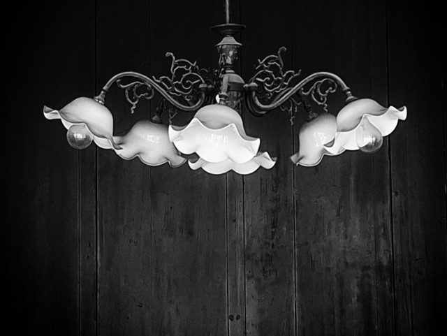 An early 20th century chandelier wirh lily-like individual shades.