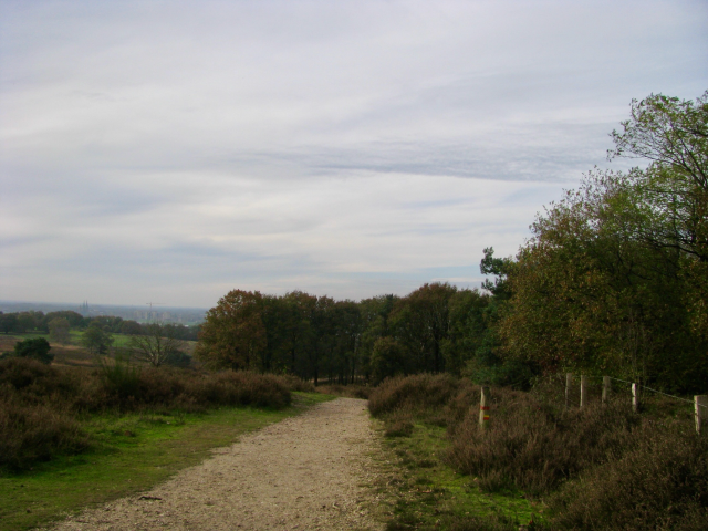 the path through the moors near Hilversum, the Netherlands, with the moors to the left and trees to the right