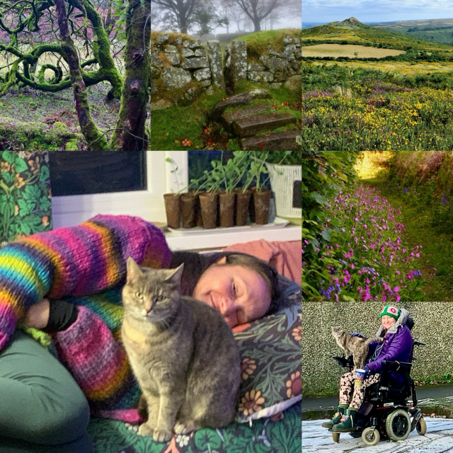 A collage of photos with me lying down and  my cat, landscapes and me in my wheelchair.