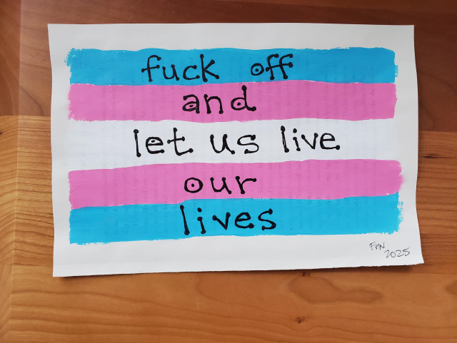 A trans flag painted on pages torn from a harry potter book. Written overtop is 'fuck off and let us live our lives'.