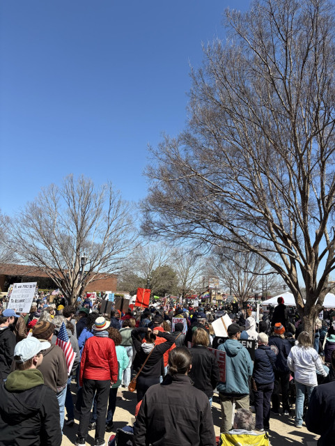 No Kings crowd Urbana, IL 3/28/26