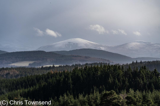 Dark woods and a snow-capped mountain under thick, dark clouds