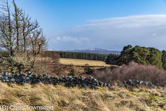 A sunny landscape with grass, a stone wall, trees, and distant hills under a partly blue, partly cloudy sky