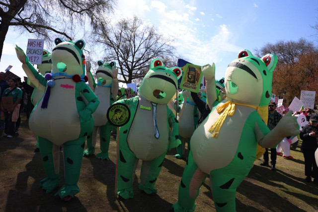 "Portland Frog Brigade" (protestors wearing blow up frog costumes) at the Portland "No Kings" protest. At least 6-7 people in frog costumes (could be more) with three standin in a row in front. Protest signs held by frogs: "Has he croaked yet?" and "Join the ribolution!"