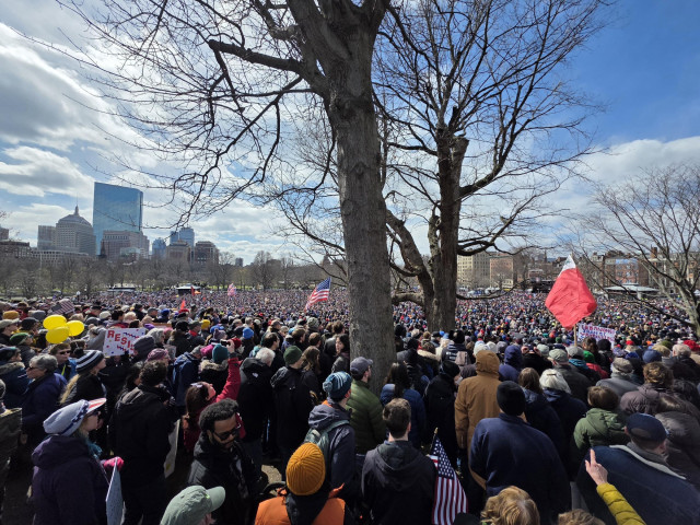 An enormous crowd on the Boston Common. It stretches as far as the eye  can see. Many people are holding signs as part of the No Kings protest.