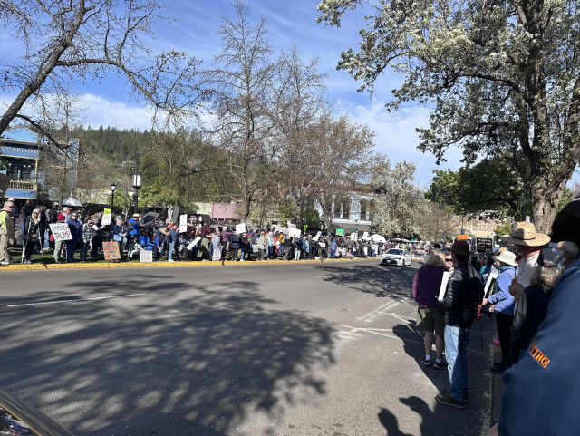 Street view of downtown Ashland Oregon at the No Kings rally this morning.  There are people with signs stacked up 3-4 deep on both sides of the road.