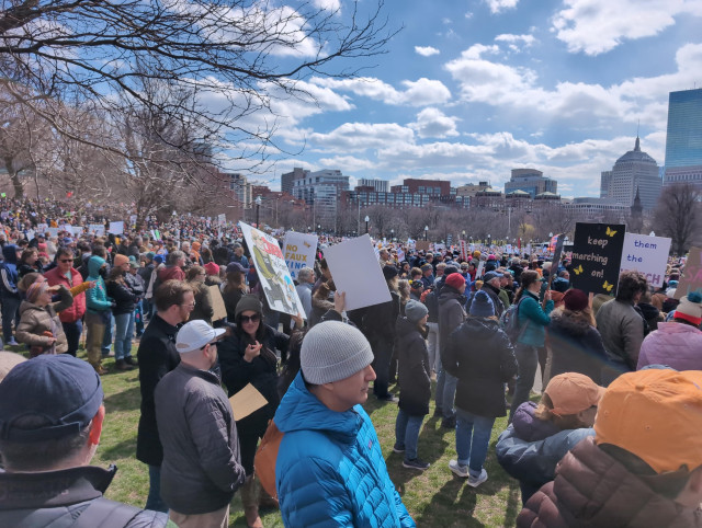 Photo of part of a crowd at an anti fascist rally. Lot of signs and good vibes. 