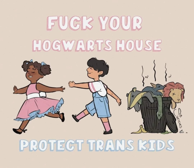 fuck your hogwarts house, protect trans kids

and it's two kids dressed in trans flag colors walking away from the hogwarts house mascots stinky in a trash can