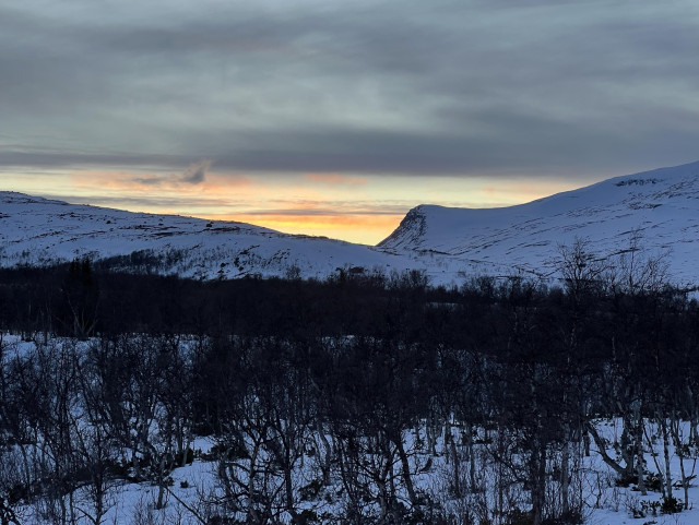 Mountains in the sunset. There’s an orange-yellow glow behind snow covered mountains. Birch forest in the foreground. 