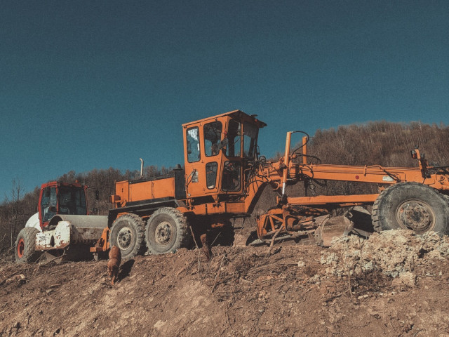 Construction vehicles under the Sunday sun, Bobby comes for a cuddle.